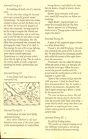Pool of Radiance Adventurers Journal Page 21