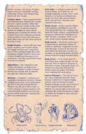 Questron manual page 15