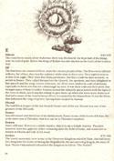 War in Middle Earth manual page 28