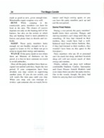 The Magic Candle manual page 34