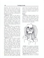 The Magic Candle manual page 42