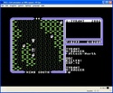 Ultima IV: Quest of the Avatar screen shot 4